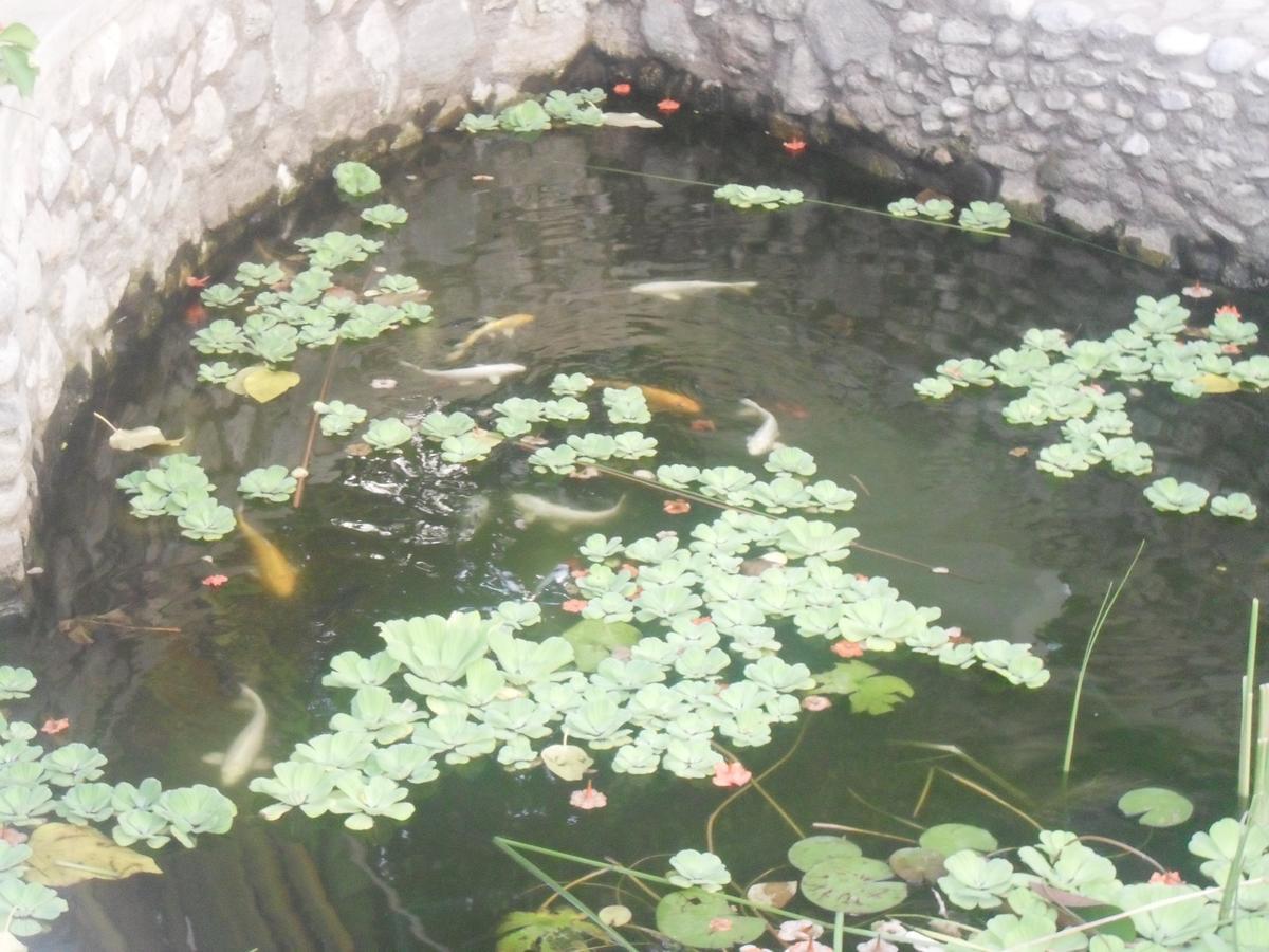 Garden Roomz Oman Muskat Bagian luar foto