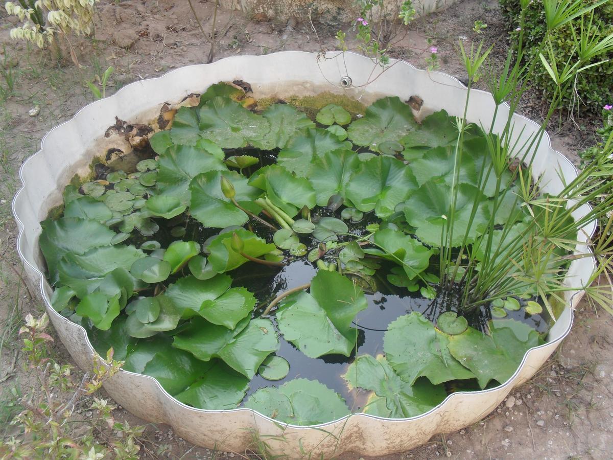 Garden Roomz Oman Muskat Bagian luar foto