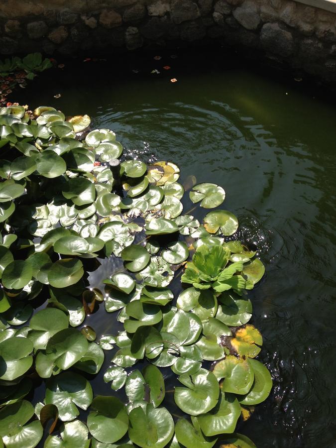 Garden Roomz Oman Muskat Bagian luar foto