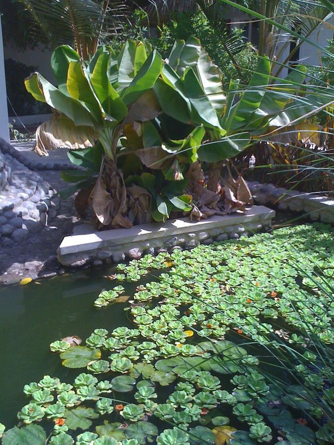 Garden Roomz Oman Muskat Bagian luar foto