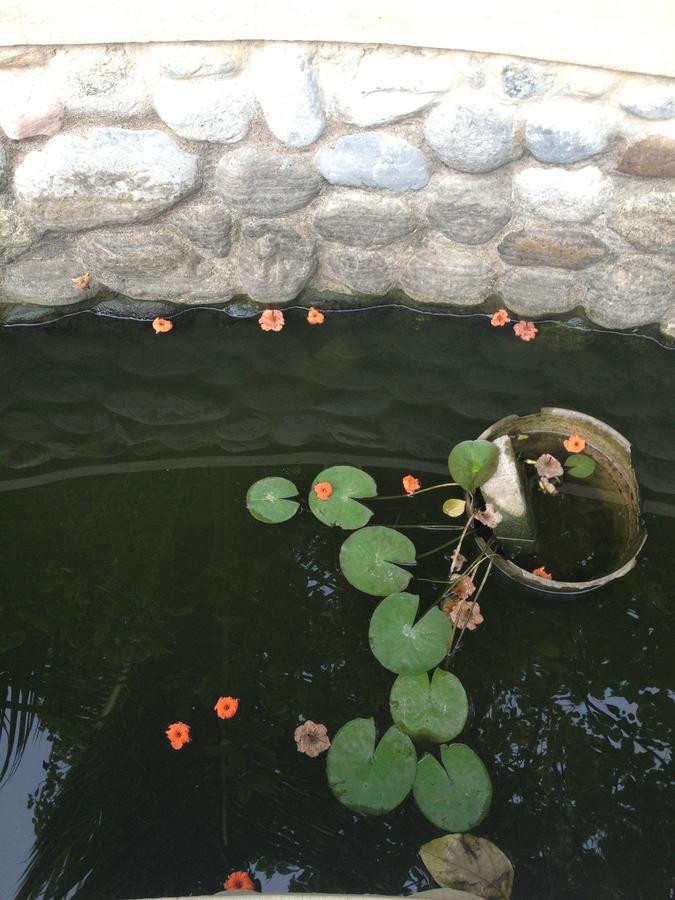 Garden Roomz Oman Muskat Bagian luar foto