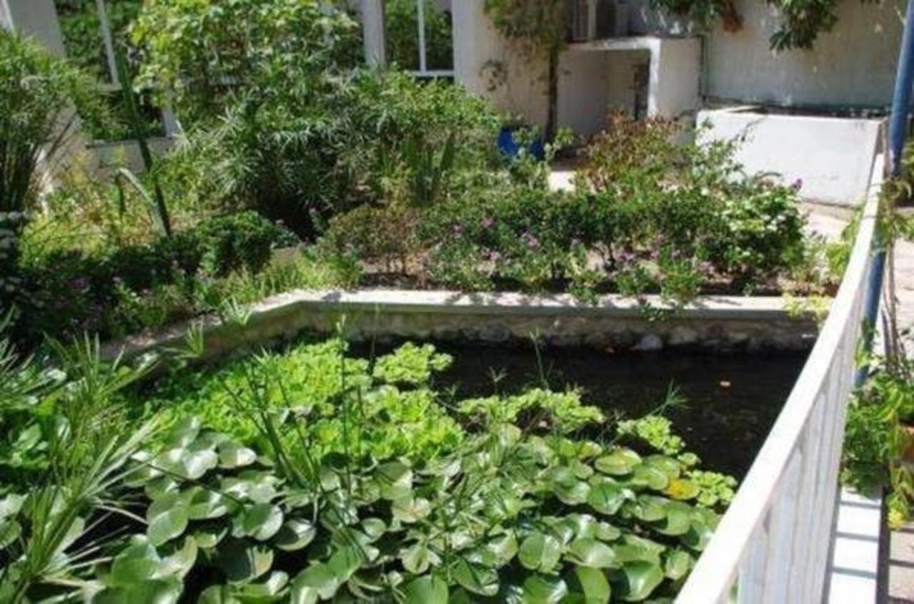 Garden Roomz Oman Muskat Bagian luar foto