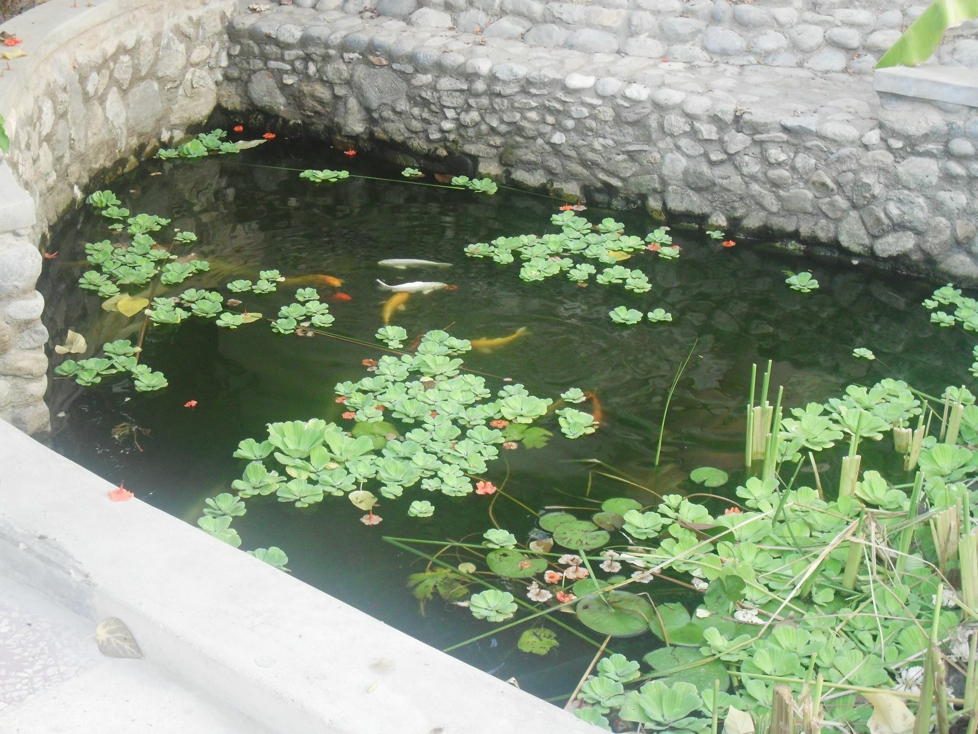 Garden Roomz Oman Muskat Bagian luar foto
